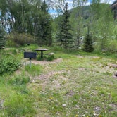 Review photo of Telluride Town Park Campground by Annie C., July 31, 2021