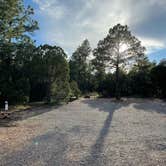 Review photo of Manzano Mountains State Park Campground by Katriza L., July 30, 2021