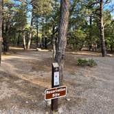 Review photo of Manzano Mountains State Park Campground by Katriza L., July 30, 2021