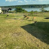 Review photo of Jim Hogg - Lake Georgetown by Cynthia B., July 31, 2021