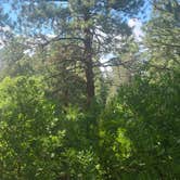 Review photo of Lower Hermosa Campground by Bryce B., July 31, 2021