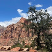 Review photo of Lees Ferry Campground — Glen Canyon National Recreation Area by Brian L., July 31, 2021