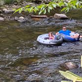 Review photo of Yogi in the smokies by Erin C., July 31, 2021