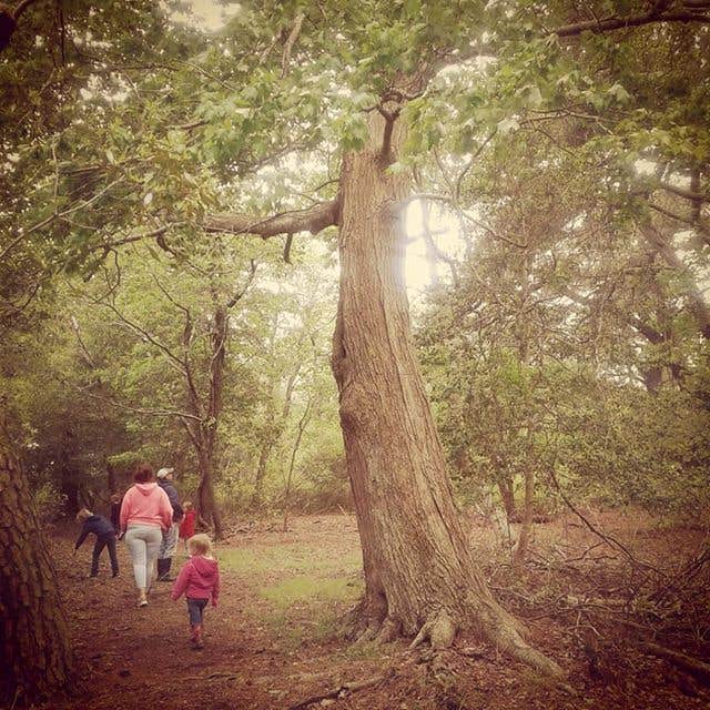 Camper-submitted photo at Delaware Seashore State Park Campground near Chincoteague, VA