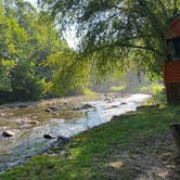 Review photo of Yogi in the smokies by Erin C., July 31, 2021