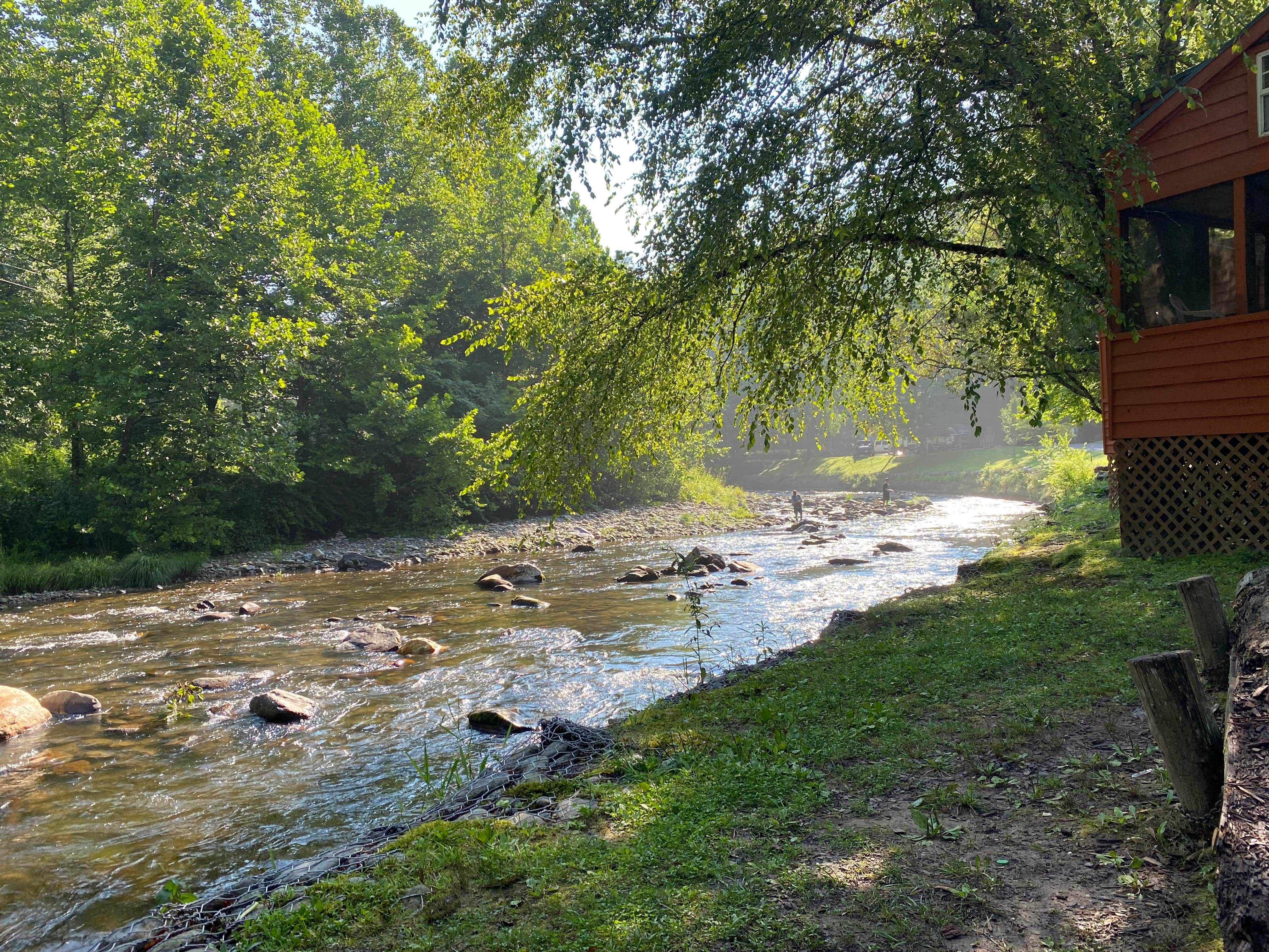 Camper submitted image from Yogi in the smokies - 2