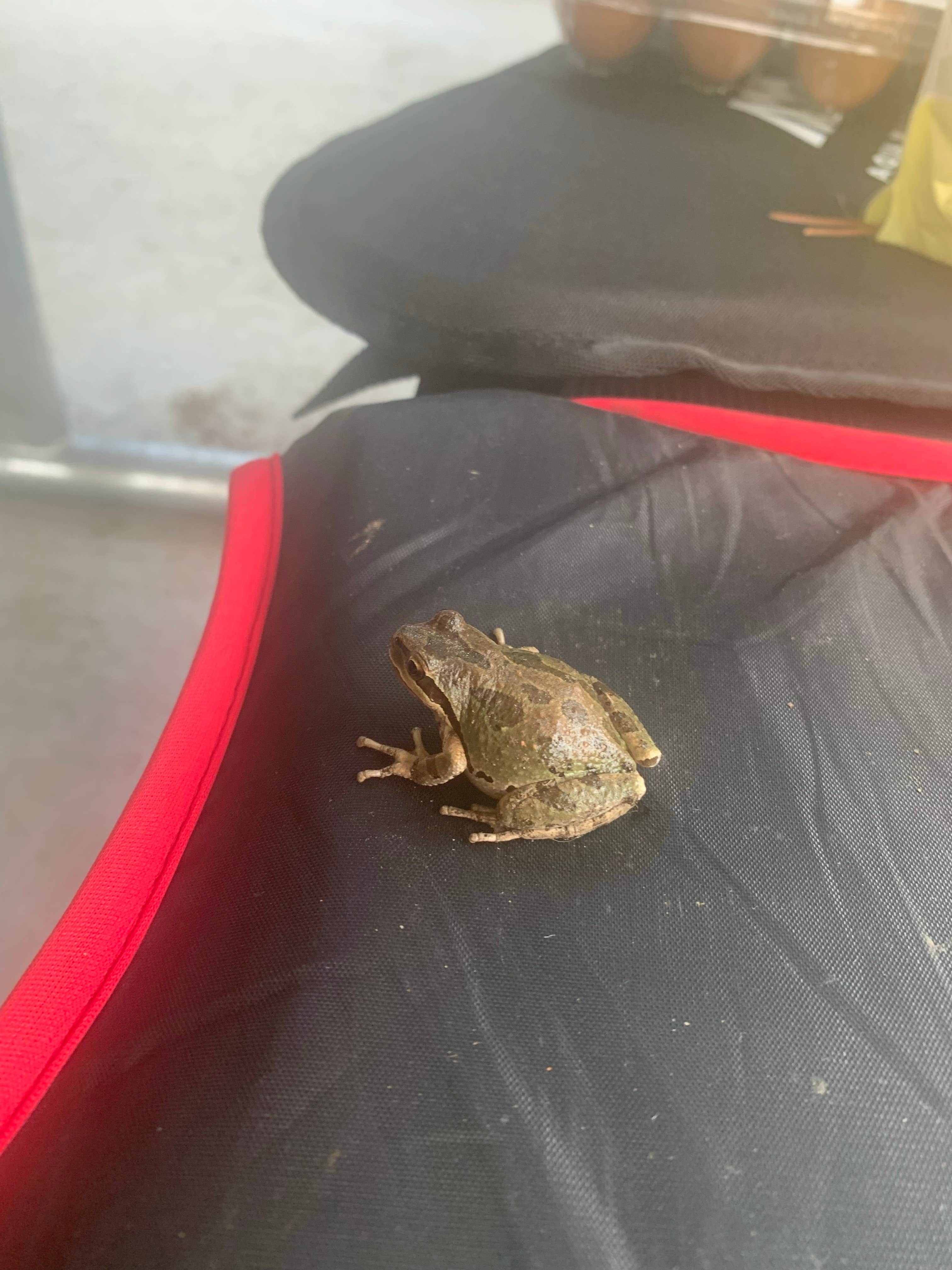 Camper-submitted photo at Bear Hollow County Park near Condon, OR