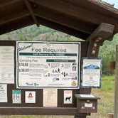 Review photo of Big Creek Campground (flathead National Forest, Mt) by Annie C., July 31, 2021