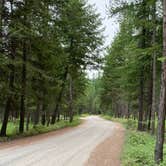 Review photo of Big Creek Campground (flathead National Forest, Mt) by Annie C., July 31, 2021