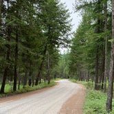 Review photo of Big Creek Campground (flathead National Forest, Mt) by Annie C., July 31, 2021