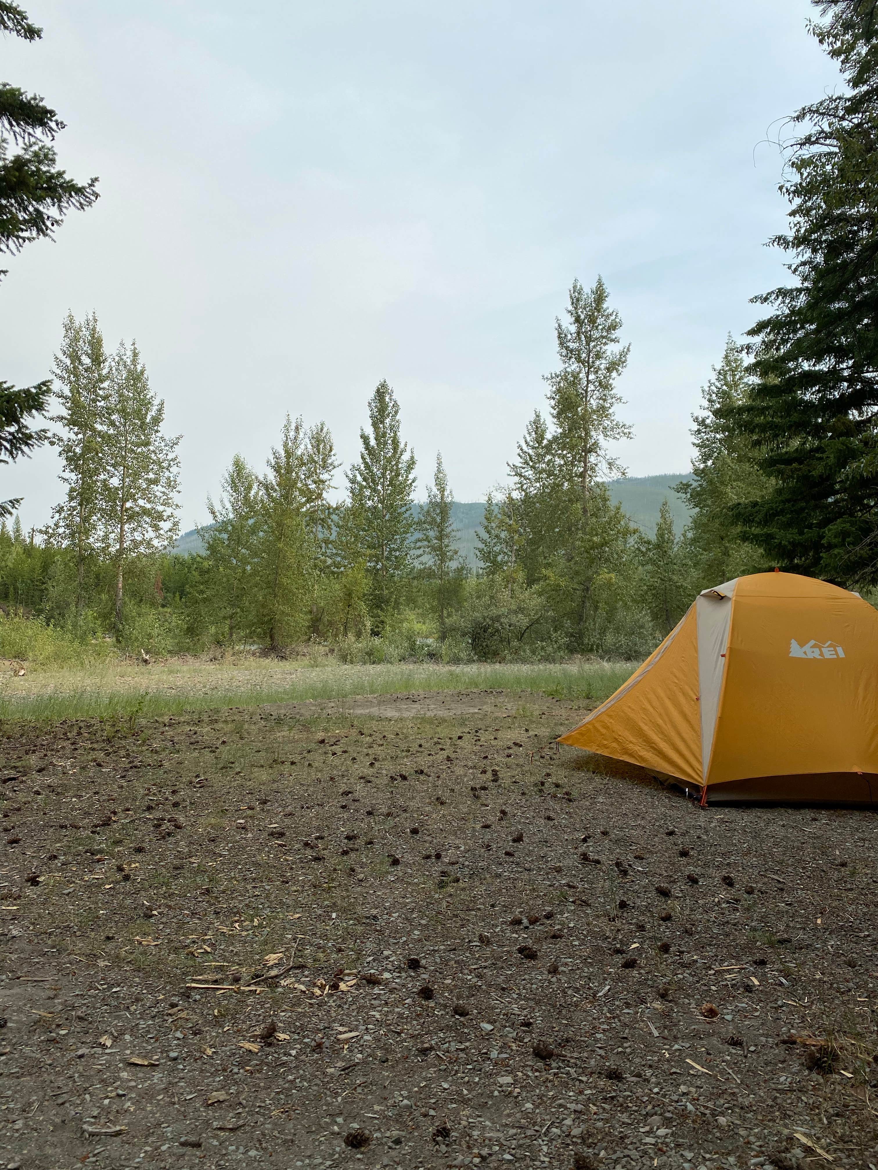 Annie C.'s photo at Big Creek Campground (flathead National Forest, Mt) near Polebridge, MT