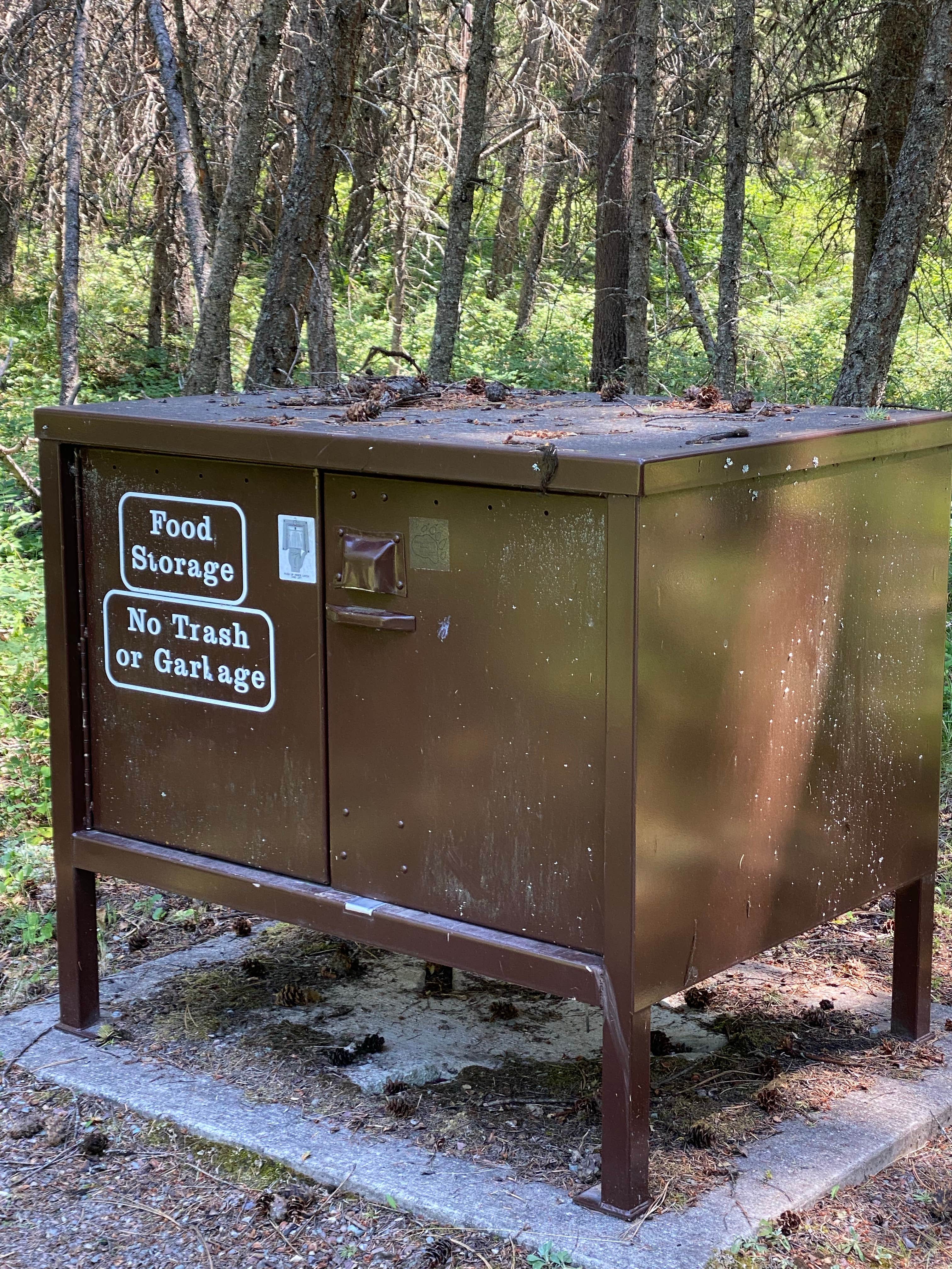 Camper submitted image from Quartz Creek Campground — Glacier National Park - 4