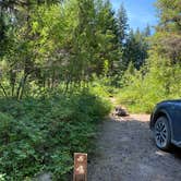 Review photo of Quartz Creek Campground — Glacier National Park by Annie C., July 31, 2021