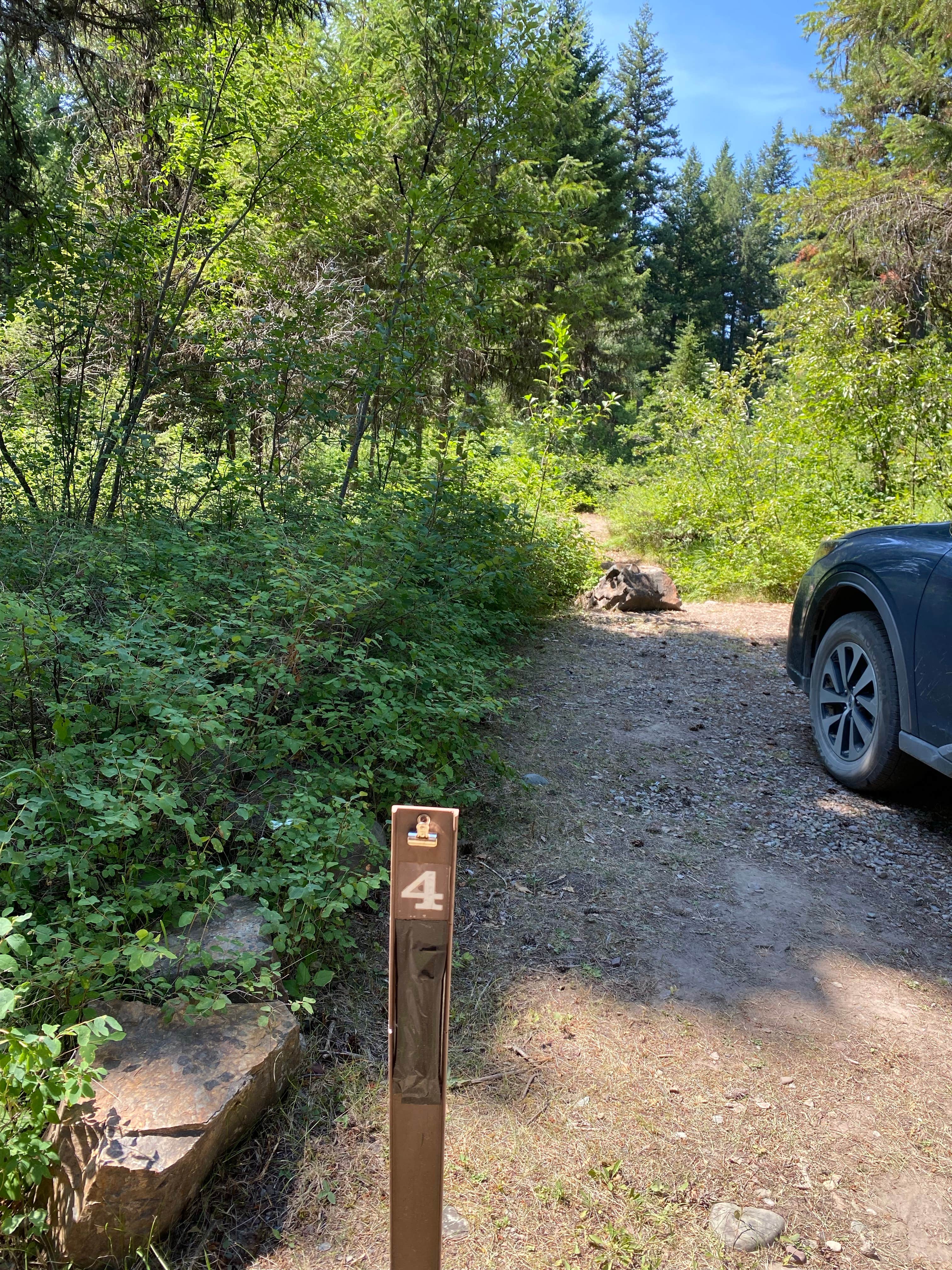 Camper submitted image from Quartz Creek Campground — Glacier National Park - 5