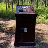 Review photo of Quartz Creek Campground — Glacier National Park by Annie C., July 31, 2021