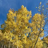 Review photo of Deer Creek Campground — Golden Gate Canyon by abby T., June 17, 2018