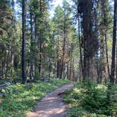 Review photo of Bowman Lake Campground — Glacier National Park by Annie C., July 31, 2021