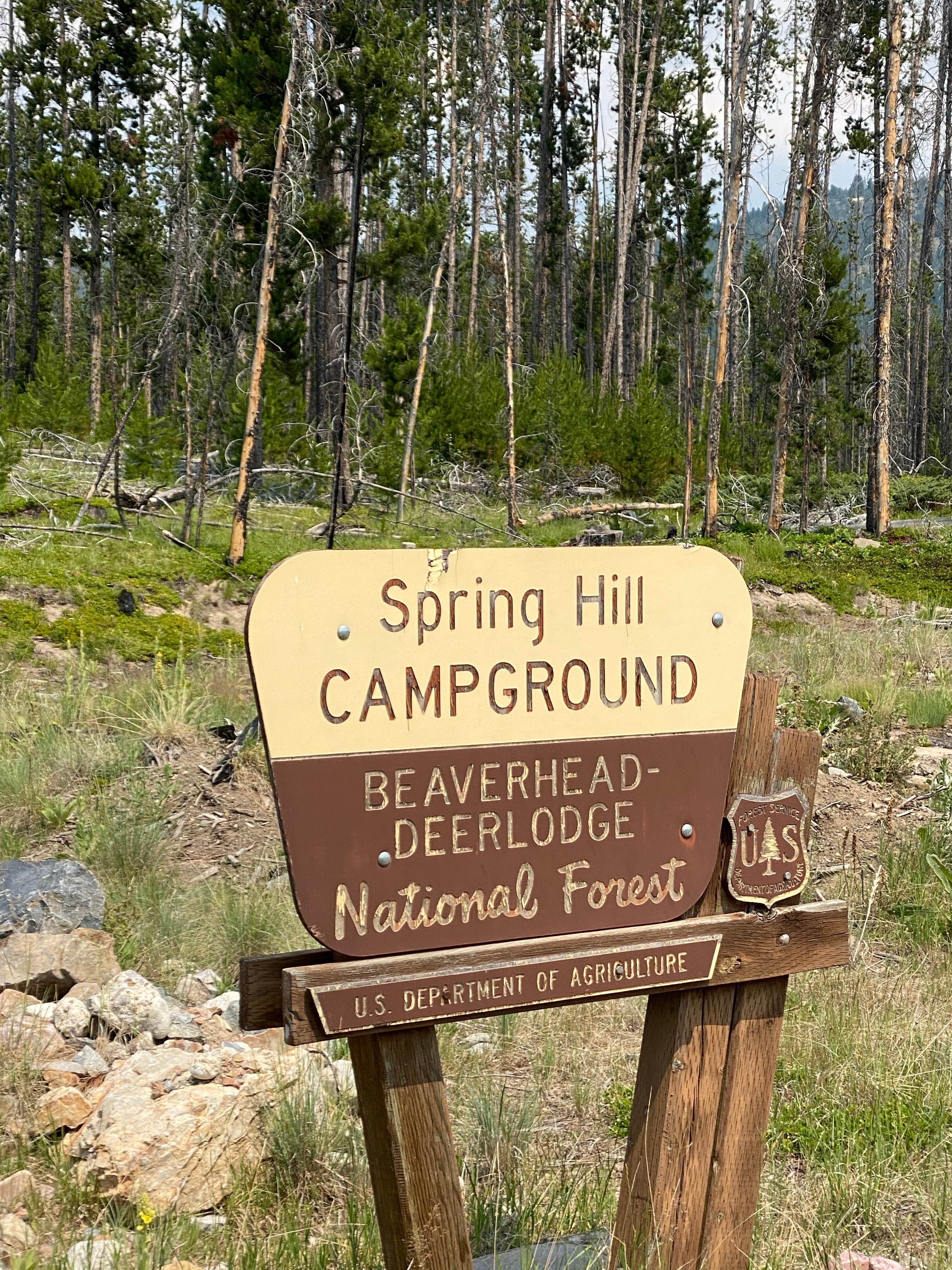 Camper-submitted photo at Spring Hill Campground near Anaconda-Deer Lodge County, MT