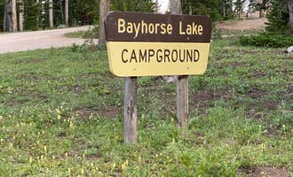 Camping near Deer Gulch : Big Bayhorse, Clayton, Idaho
