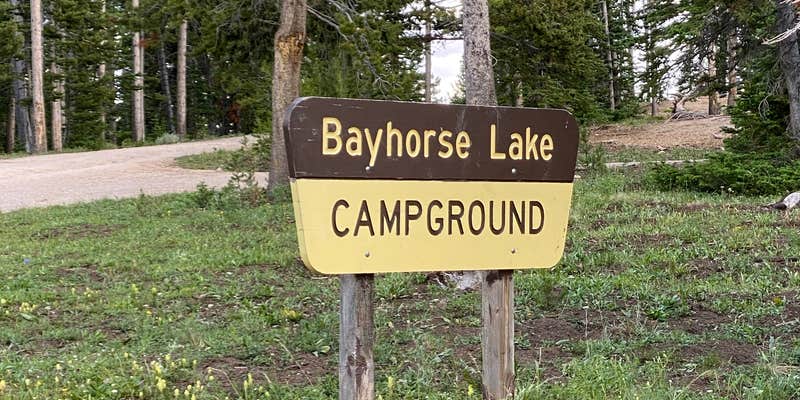 Camper submitted image from Big Bayhorse