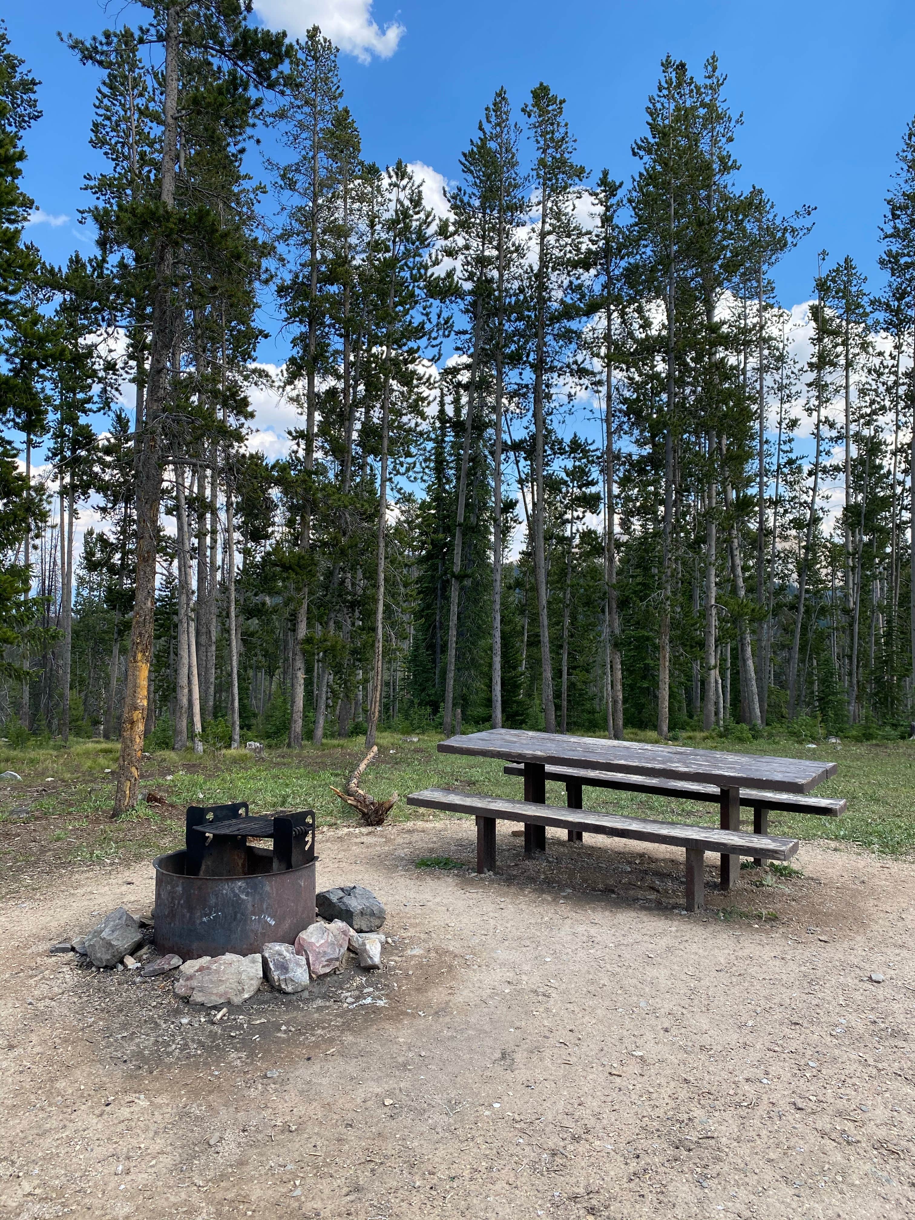 Annie C.'s photo at Big Bayhorse near May, ID