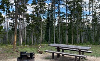 Annie C.'s photo at Big Bayhorse near Salmon-Challis National Forest