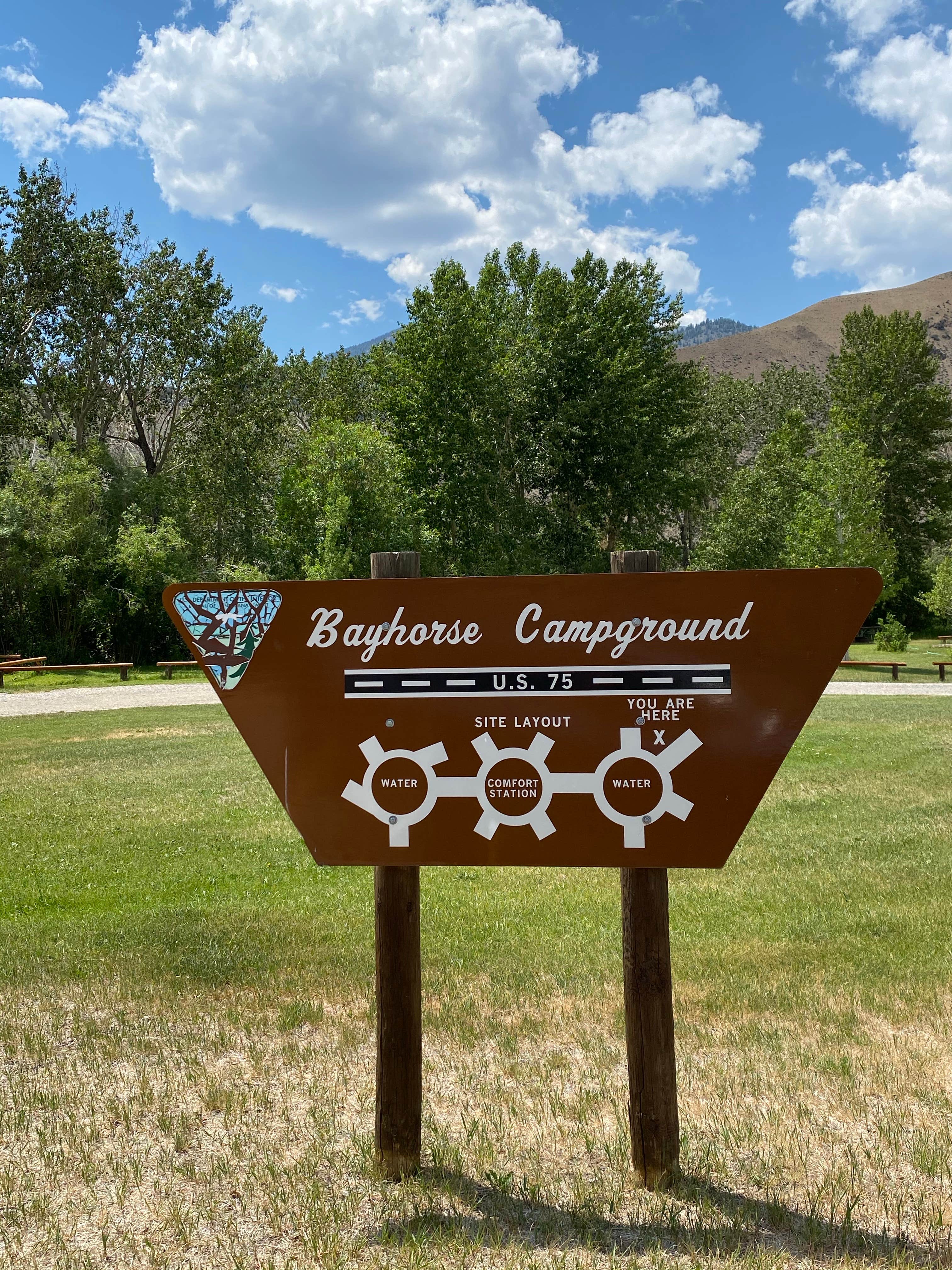 Camper-submitted photo at Bayhorse Recreation Site near May, ID