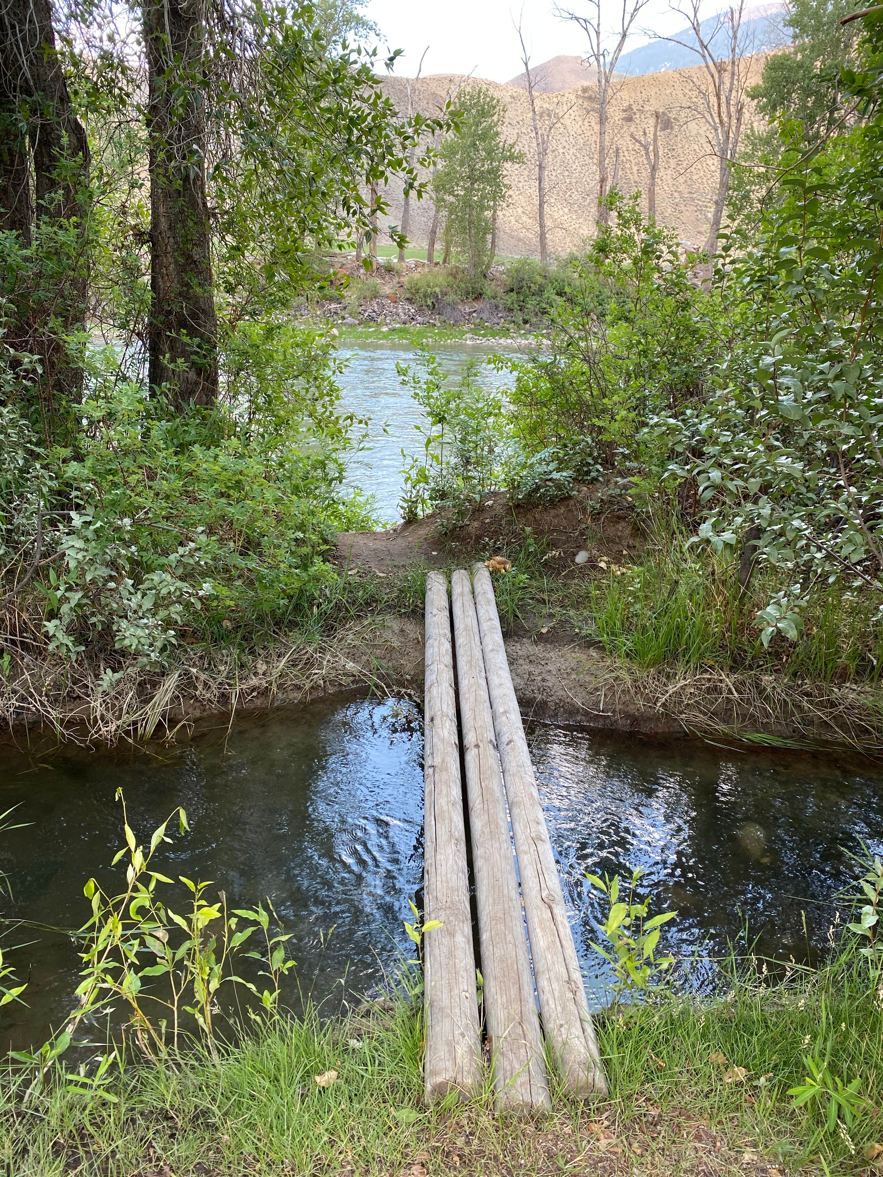 Camper-submitted photo at Bayhorse Recreation Site near May, ID