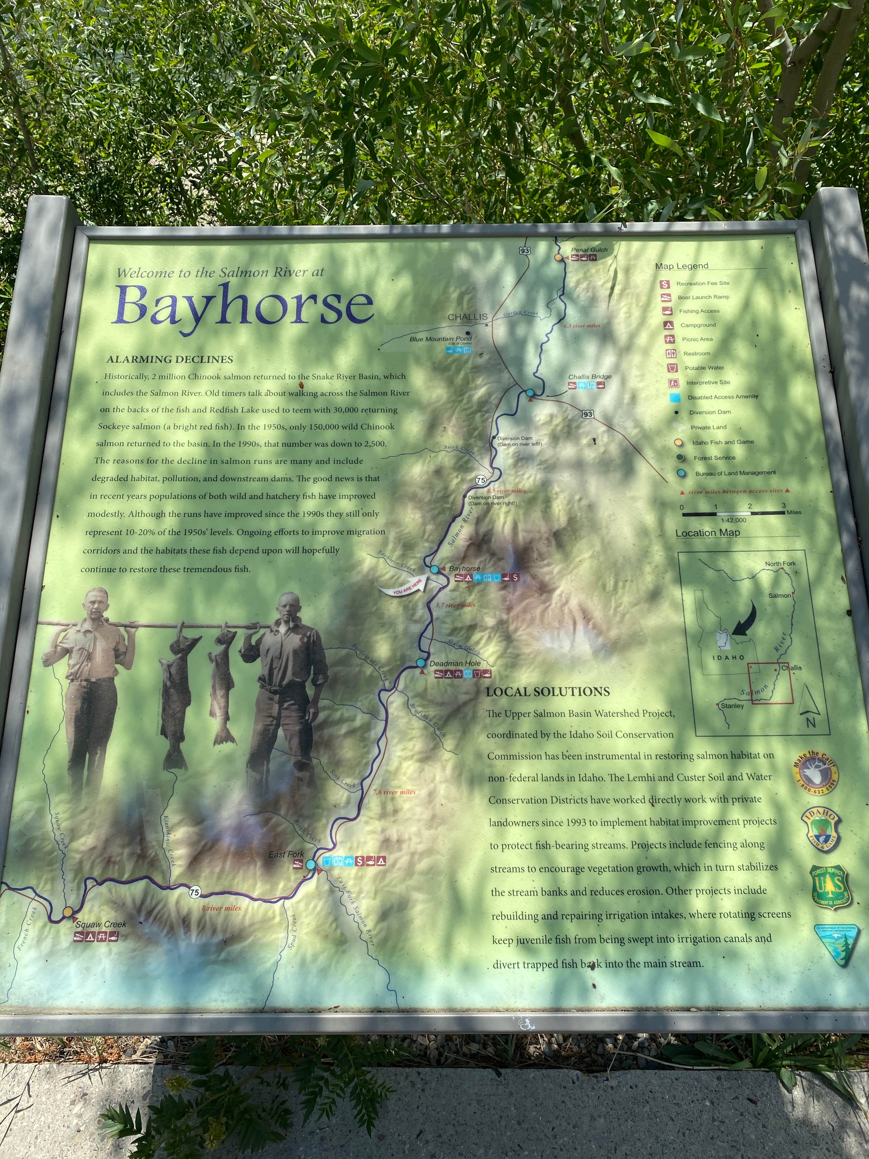 Camper submitted image from Bayhorse Recreation Site - 3