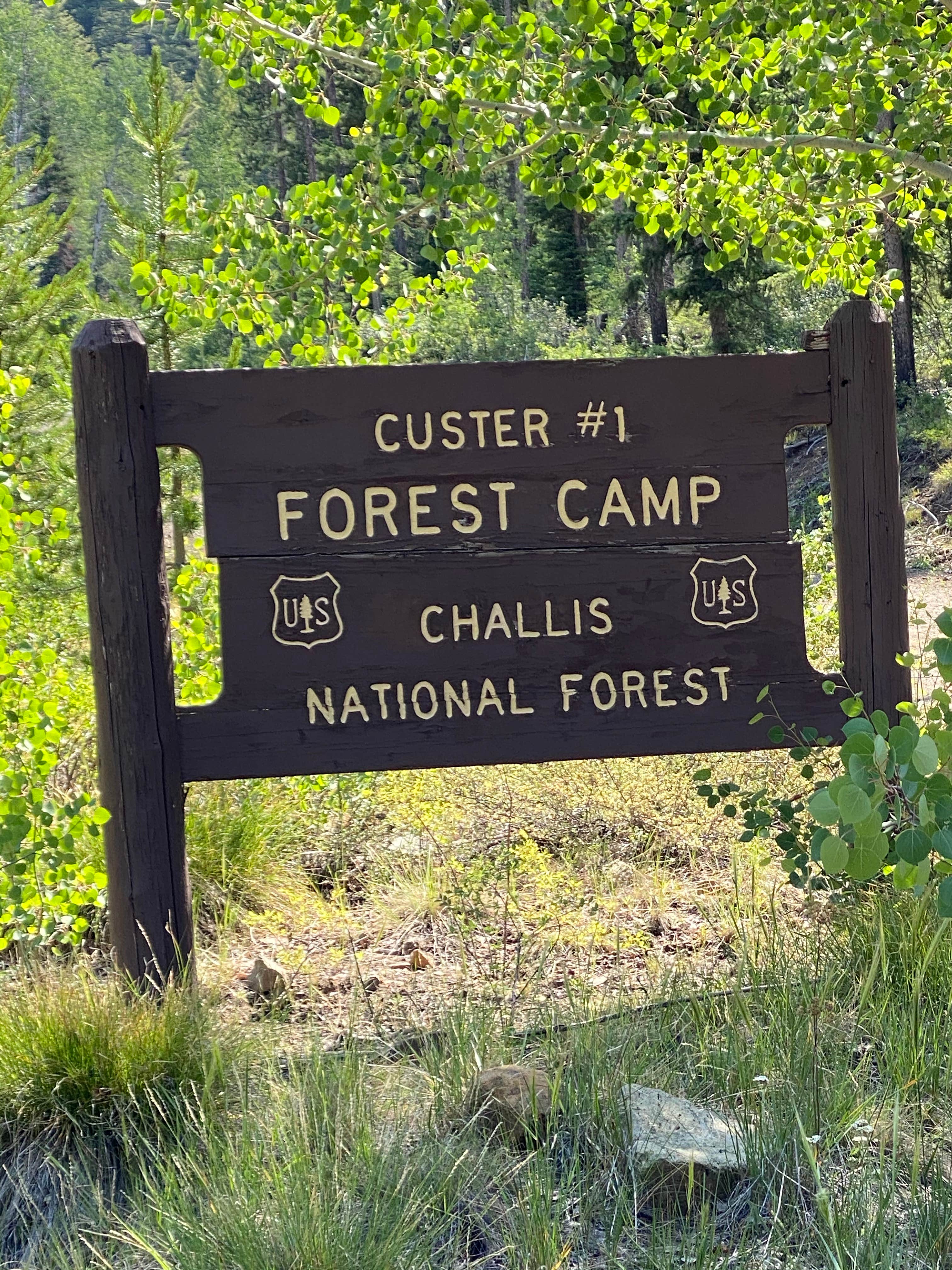 Camper-submitted photo at Custer #1 Campground near Salmon-Challis National Forest