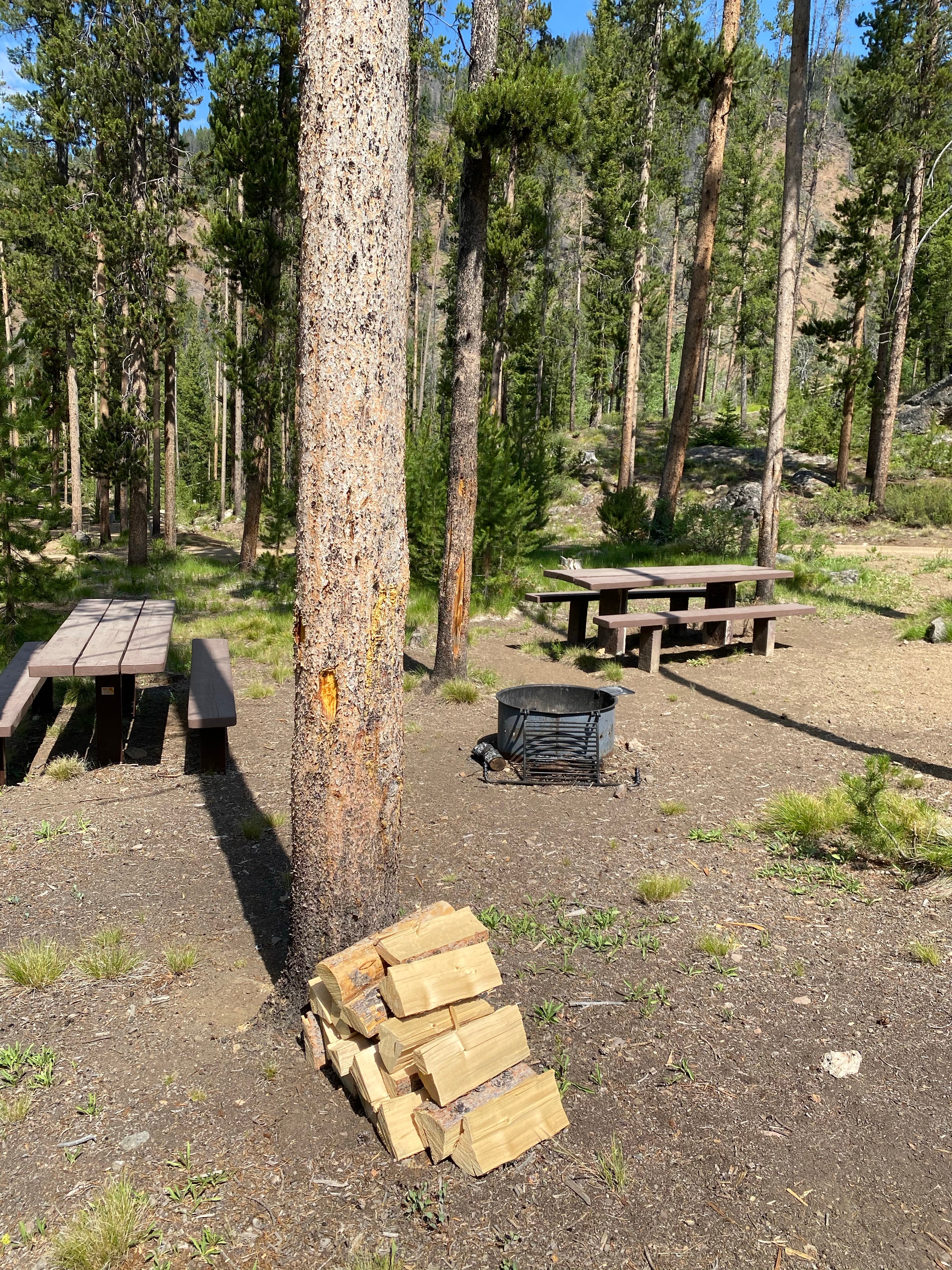 Camper submitted image from Custer #1 Campground - 4