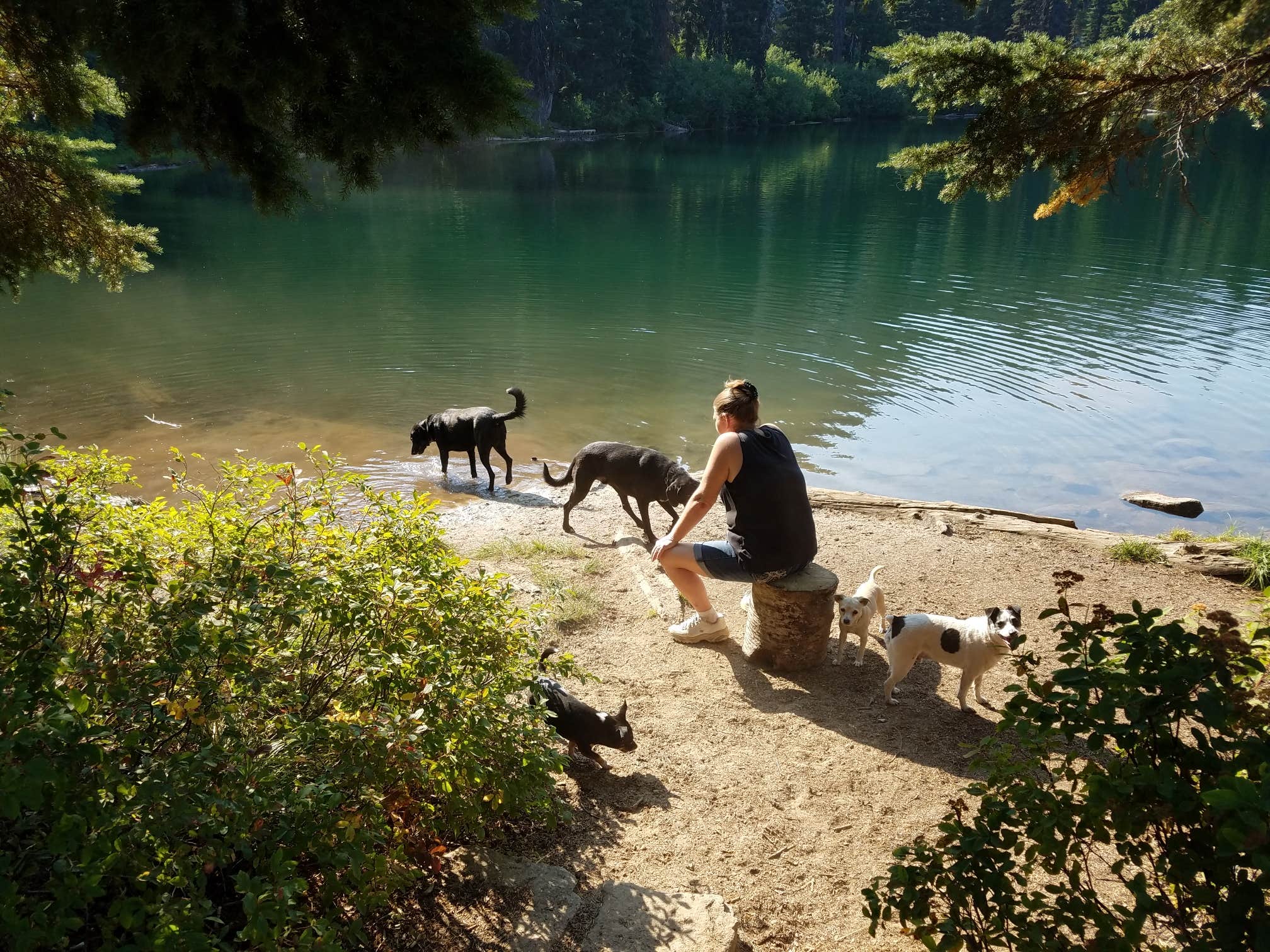 Camper-submitted photo at Rocky Ridge Lake Campground near Nez Perce-Clearwater National Forests