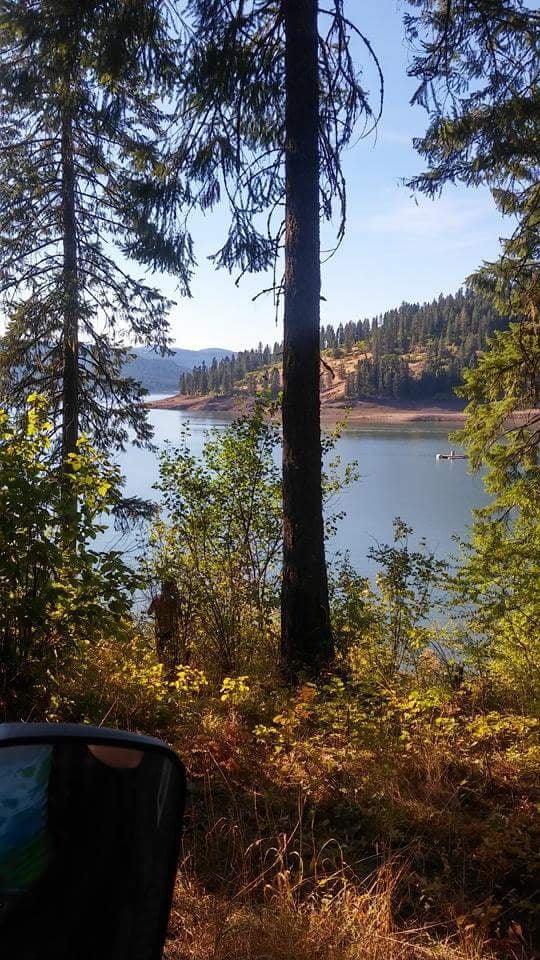 Camper submitted image from Canyon Creek - 2