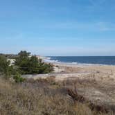 Review photo of Cape Henlopen State Park Campground by Lisa B., June 17, 2018