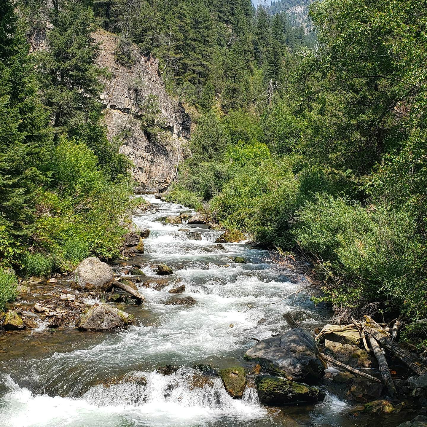 Camper submitted image from Palisades Creek Campground - 5