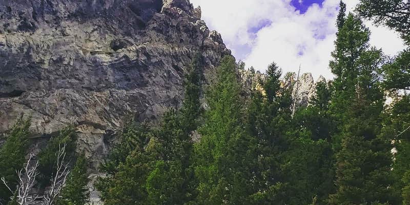 Camper submitted image from Moose Flat