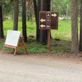 Review photo of Big Creek Campground (flathead National Forest, Mt) by Annie C., July 31, 2021