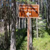 Review photo of Bowman Lake Campground — Glacier National Park by Annie C., July 31, 2021