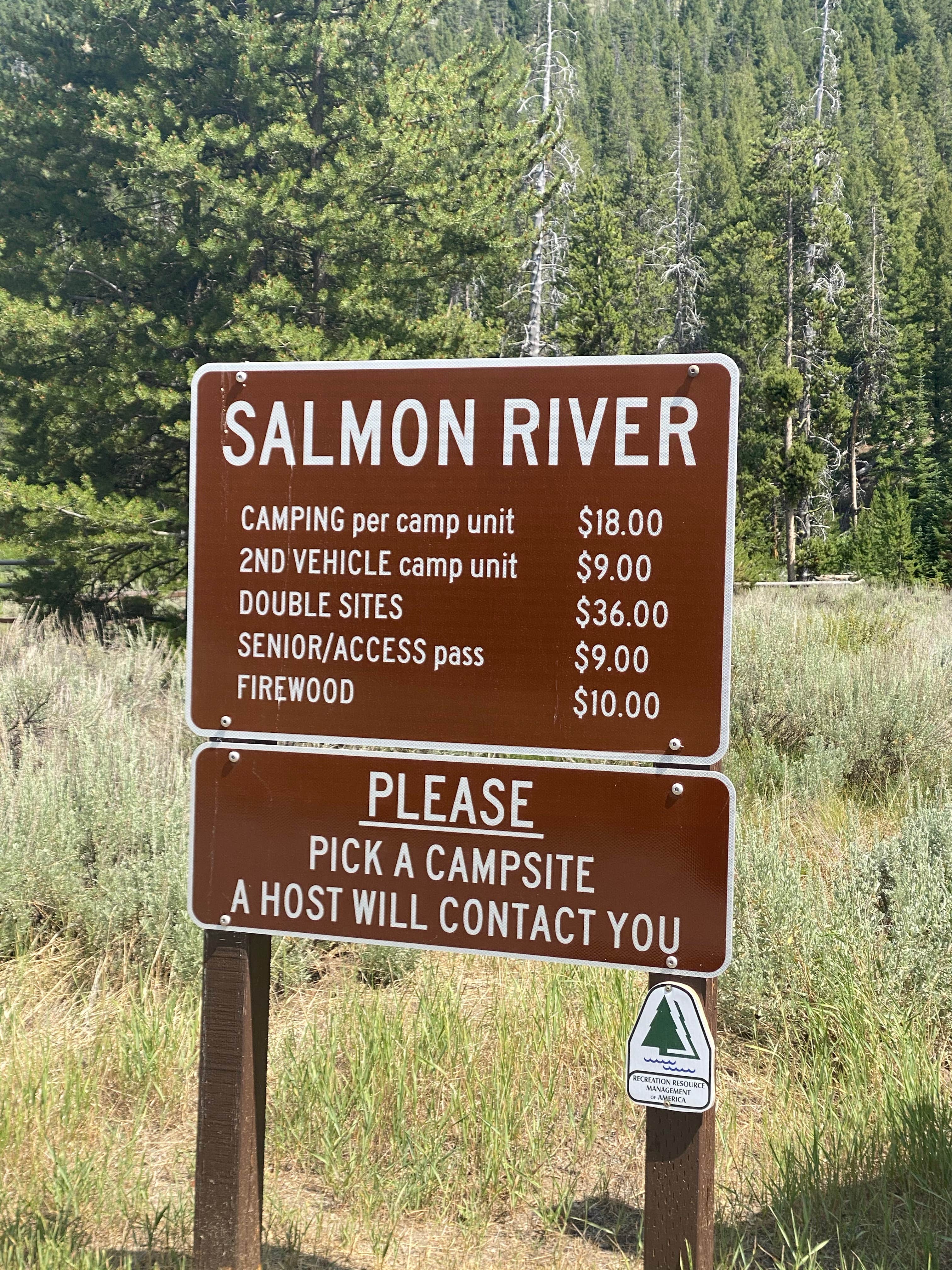 Camper submitted image from Salmon River Campground - 4