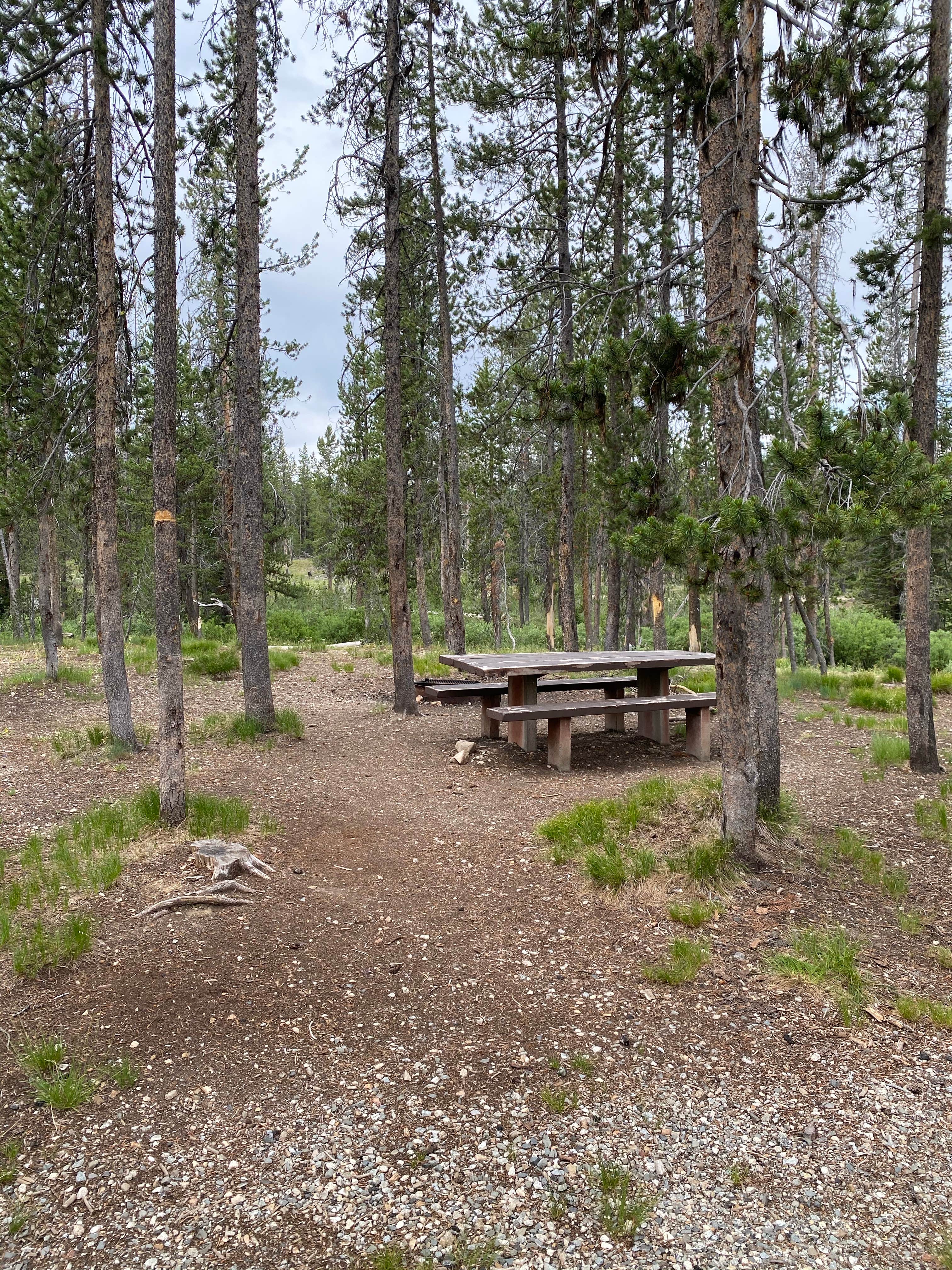 Camper submitted image from Bench Creek Campground - 3