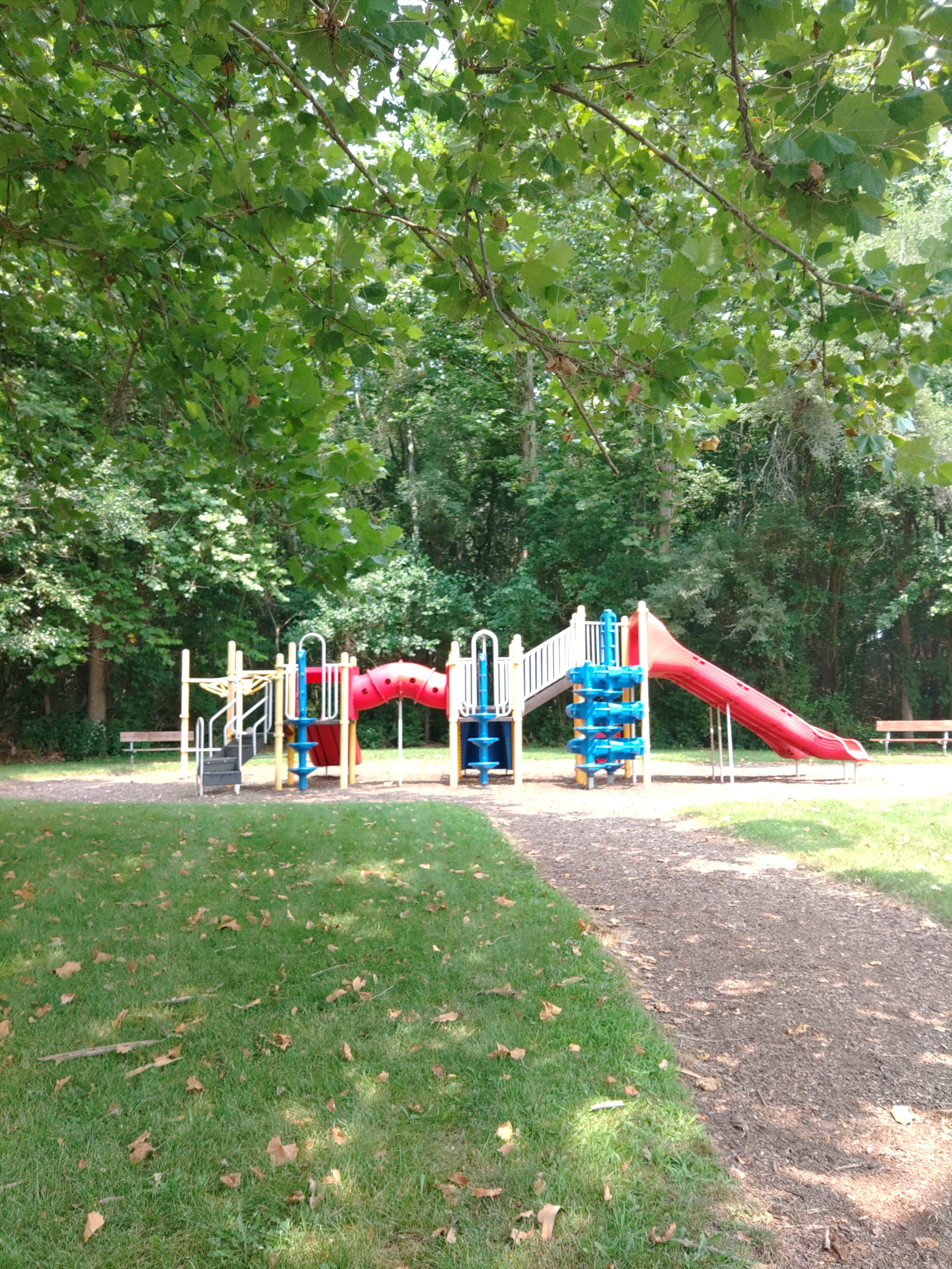 Camper submitted image from Buffalo Shores County Park - 4