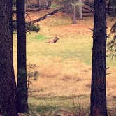 Review photo of Sinkhole Campground by Noah L., July 18, 2016