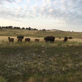 Review photo of Soldier Creek Campground — Fort Robinson State Park by Candy L., June 17, 2018