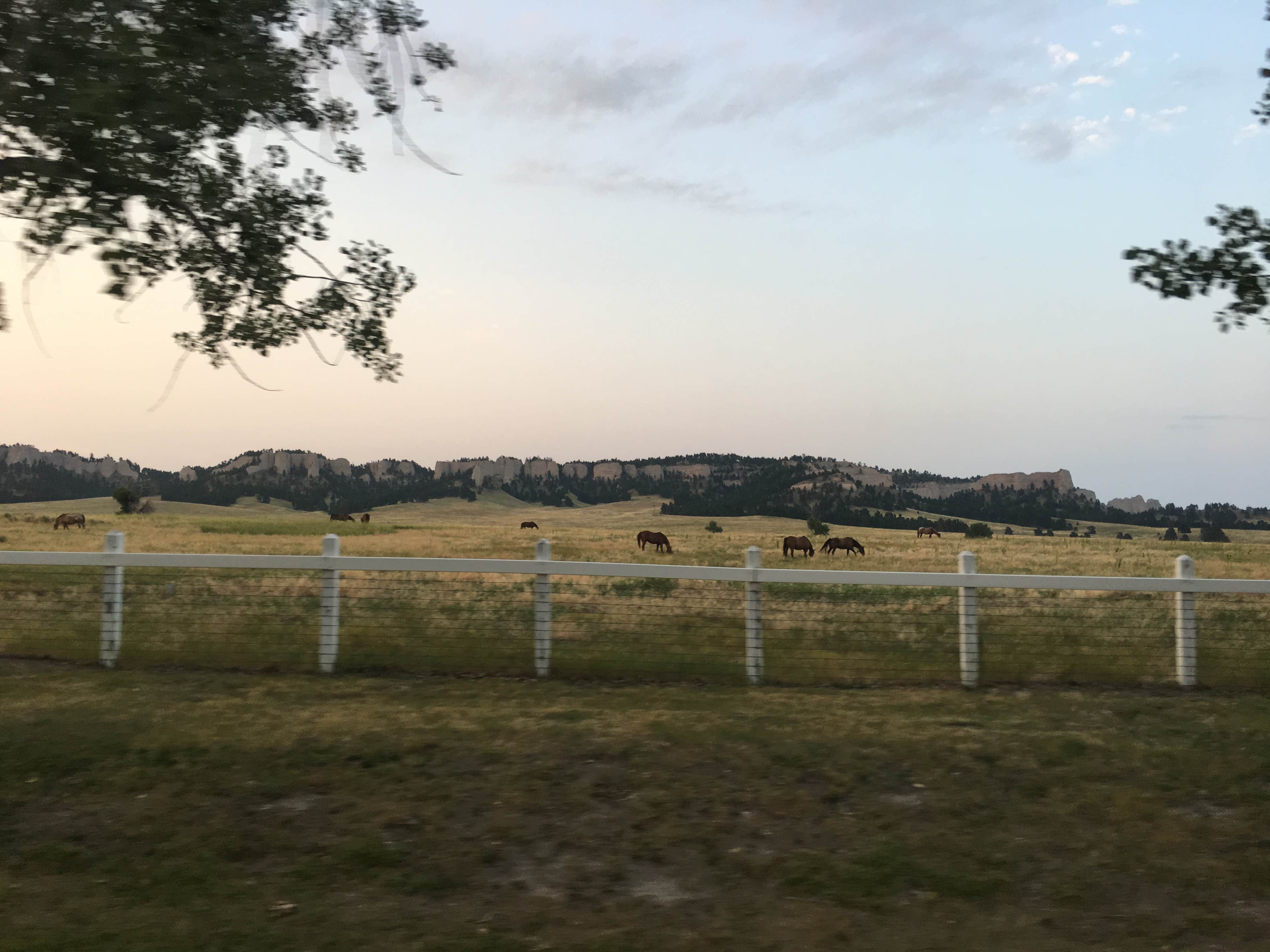 Camper submitted image from Soldier Creek Campground — Fort Robinson State Park - 4