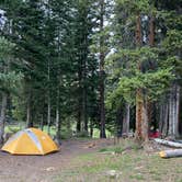 Review photo of Lizard Head Pass by Annie C., July 31, 2021