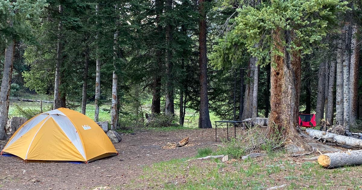 Lizard Head Pass Dispersed Camping