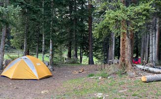 Annie C.'s photo of a dispersed camping area at Lizard Head Pass Dispersed Camping near San Juan National Forest