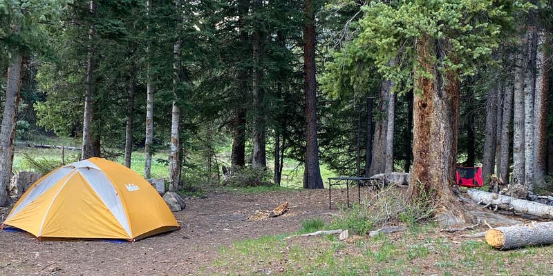 Camper submitted image from Lizard Head Pass Dispersed Camping