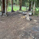 Review photo of Lizard Head Pass Dispersed Camping by Annie C., July 31, 2021