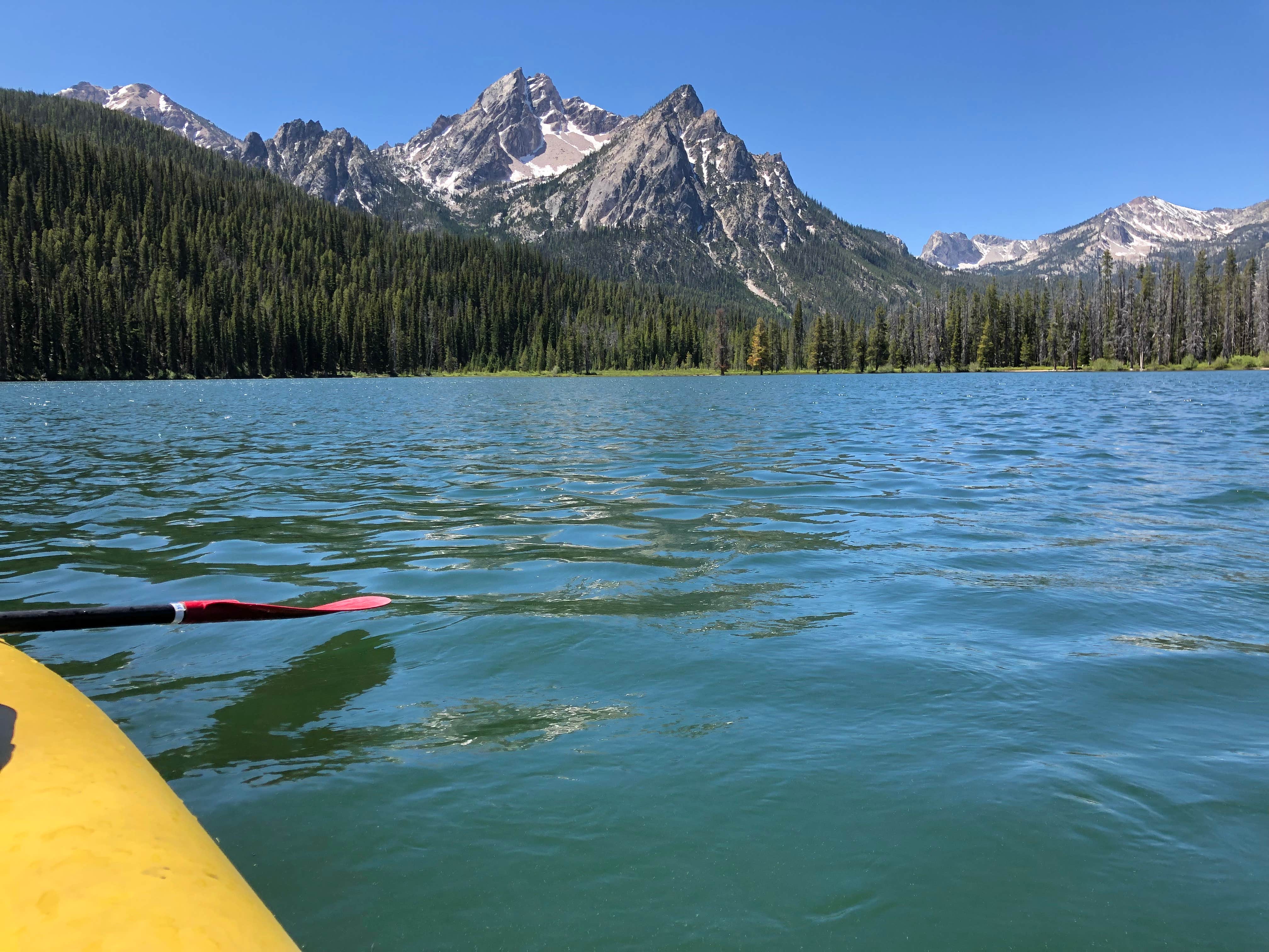 Best camping in SalmonChallis National Forest The Dyrt